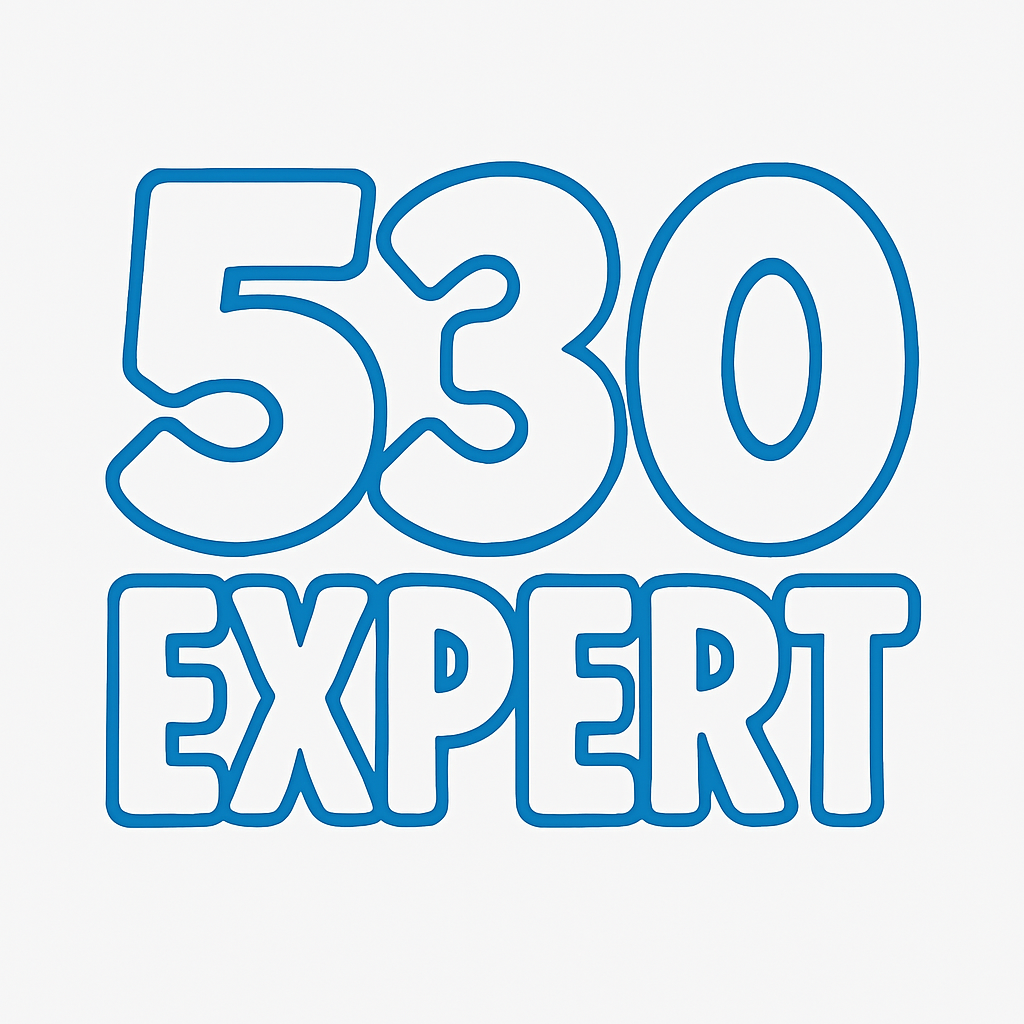 530 expert logo 